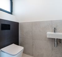 A toilet with a wall-hung WC and a washbasin in a family house.