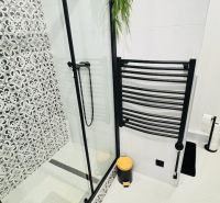 Bathroom with a shower and black-and-white decorations in a studio apartment.