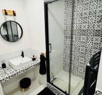 A bathroom in a one-room apartment with black and white tiles and a shower corner.