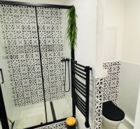 A bathroom in a studio apartment with black and white tiles and hanging greenery.