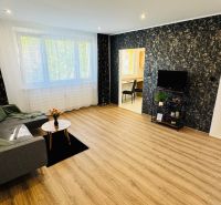 A bright living room in a one-bedroom apartment with a sofa, TV, and wood-patterned flooring.