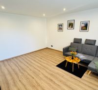 Living room in a studio apartment with wood-patterned flooring, a gray sofa, and a television.