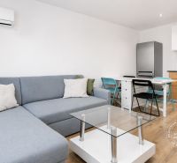 Living room in a two-room apartment with a sofa, table, and kitchenette.