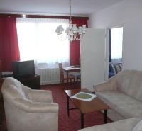 Living room in a two-room apartment with a red carpet and a beige sofa.