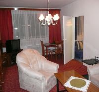 Living room with a red carpet, armchairs, and wooden cabinets in a 2-room apartment.