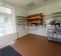 Commercial space with walls featuring cow graphics, shelves, and a sink, tiled floor.