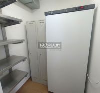 Storage space with metal shelves and a cabinet, equipped with a refrigerator.
