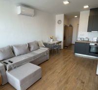 Living room with a sofa, kitchenette, and wooden decor flooring in a studio apartment.