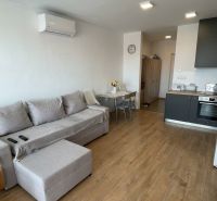 Living space of a one-room apartment with a sofa and wooden decor flooring.