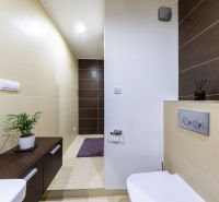 A bathroom in a 3-room apartment with brown and beige tiles and green decorations.