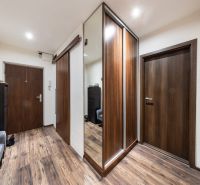 Entrance hallway with wood-patterned flooring in a 3-room apartment, mirrored wardrobe and light.