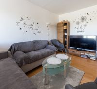 Living room with wood-patterned flooring, a sofa, a glass table, and a television.