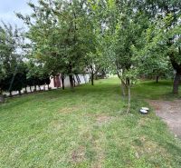A garden surrounded by trees at a family house in Rovensko with a lawn and a concrete path.