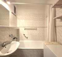 A bathroom with a shower and a bathtub in a studio apartment.