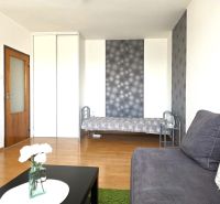 Living room of a one-room apartment with a sofa, bed, and wooden decor flooring.