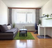 Living room in a studio apartment with a sofa, desk, and wood-patterned flooring.