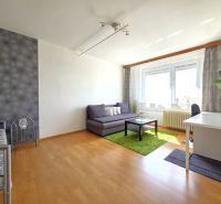 1-bedroom apartment with a sofa, desk, carpet, and wooden decor flooring.