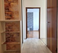 A hallway with a wooden decor floor in a one-room apartment. Entrance to another room.