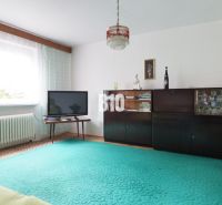 A living room in a family house with a television, dark furniture, and a green carpet.