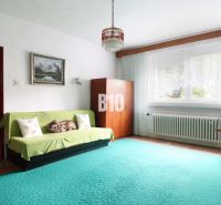 Living room with a sofa, television, and carpets, in a family house.