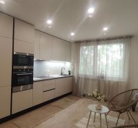 Kitchen in a 4-room apartment with a wooden decor floor and a large window.