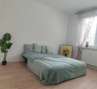 Bedroom in a 4-room apartment with a bed, a plant, and a wooden decor floor.