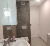 Bathroom in a 4-room apartment with a sink, mirror, and toilet.