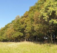 Kuchyňa Recreational land Sale reality Malacky
