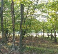 Kuchyňa Recreational land Sale reality Malacky