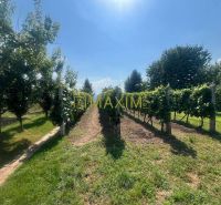 Prievaly Family house Sale reality Senica