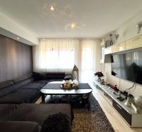 Living room in a 4-room apartment with a wooden decor floor and a dark sofa.