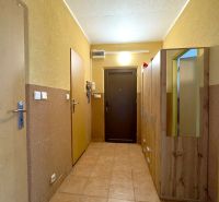 A hallway with closets in a 4-room apartment with tiles and wooden doors.