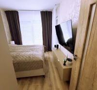 Bedroom in a 2-room apartment with wood-patterned flooring and a TV on the wall.