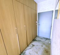 A hallway in a 2-room apartment with storage spaces and a marble-patterned floor.