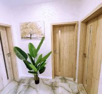 Wooden door and a plant in the interior of a 2-room apartment with tiles.