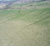 Extensive agricultural and forest lands in Čierny Balog with hills and pastures.
