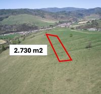 Agricultural and forest land Čierny Balog, area 2,730 m² between picturesque hills.