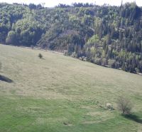 Panorama of agricultural and forest lands near Čierny Balog with individual trees.