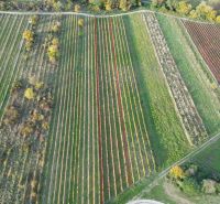 dji_fly_20251019_163556_166_1760884826968_photo.jpg