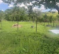 A garden with grass and trees near a family house in Rudná.