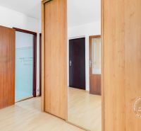 Wooden sliding doors and a floor with a wood decor in a 2-room apartment.
