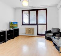 Living room in a two-room apartment with a wooden decor floor, a sofa, and a television.