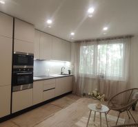 A minimalist kitchen in a 4-room apartment with integrated appliances and a window with a view.