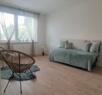 A bright room with a sofa, an armchair, and a wooden decor floor in a 4-room apartment.