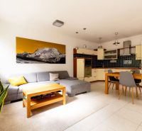 Living room with a kitchenette, sofa, and table in a 2-room apartment.
