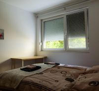 Bedroom in a two-room apartment with a window, table, and painting on the wall.