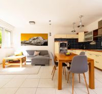 Living room with kitchen, light sofa, dining table, large windows, art on the wall.