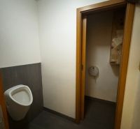 Interior of commercial premises with a toilet and dark flooring with a wooden decor.