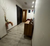 A narrow interior hallway with wood-patterned flooring, decoration, and doors.