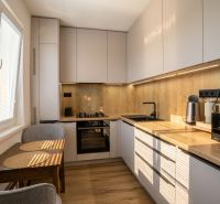 A kitchen in a 2-room apartment with wooden decor cabinets and a compact table.